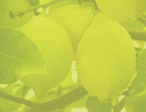 Reapertura del mercado europeo para el limón argentino